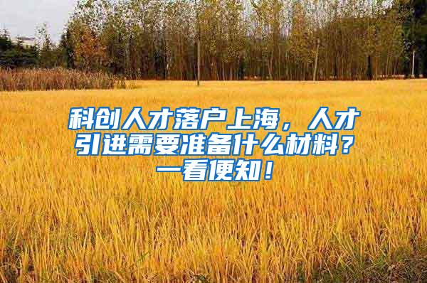 科创人才落户上海，人才引进需要准备什么材料？一看便知！