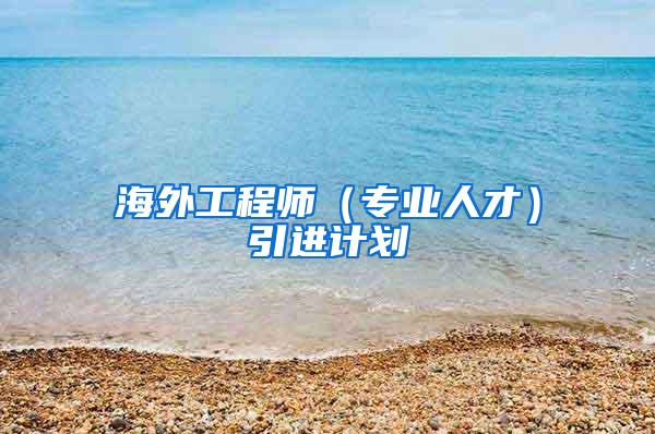 海外工程师（专业人才）引进计划