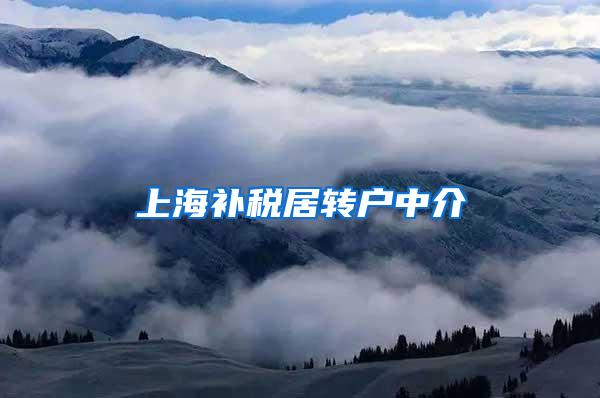 上海补税居转户中介