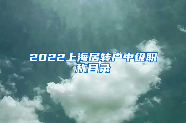 2022上海居转户中级职称目录