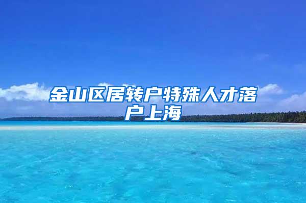 金山区居转户特殊人才落户上海