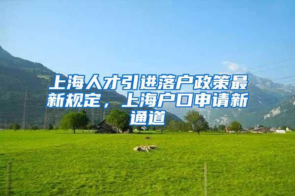 上海人才引进落户政策最新规定，上海户口申请新通道