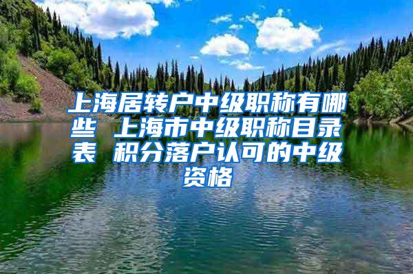 上海居转户中级职称有哪些 上海市中级职称目录表 积分落户认可的中级资格