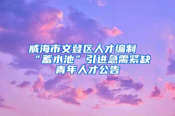 威海市文登区人才编制“蓄水池”引进急需紧缺青年人才公告