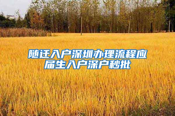 随迁入户深圳办理流程应届生入户深户秒批