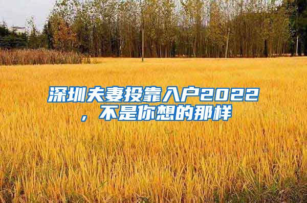 深圳夫妻投靠入户2022，不是你想的那样