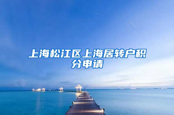 上海松江区上海居转户积分申请