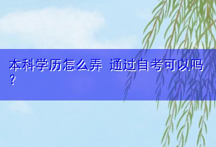 本科学历怎么弄 通过自考可以吗〔在线直播教学〕