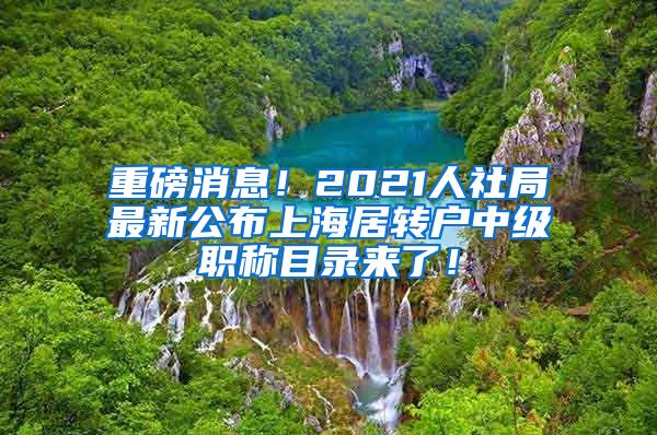 重磅消息！2021人社局最新公布上海居转户中级职称目录来了！