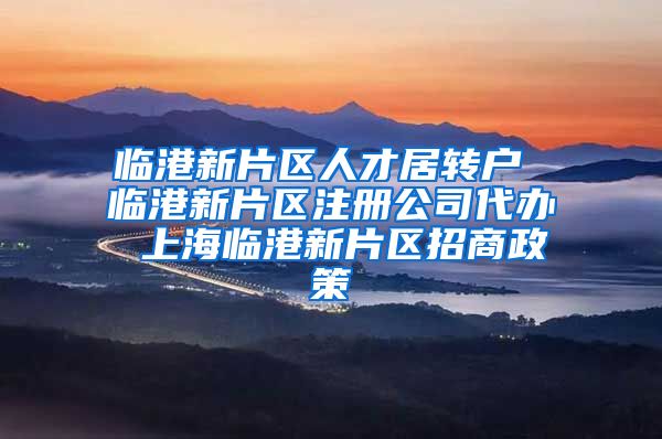 临港新片区人才居转户 临港新片区注册公司代办 上海临港新片区招商政策