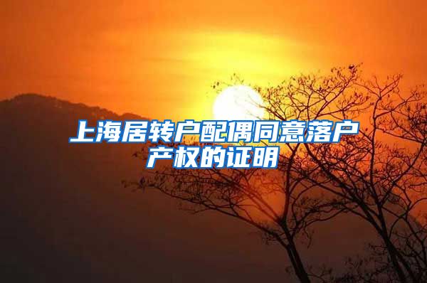 上海居转户配偶同意落户产权的证明
