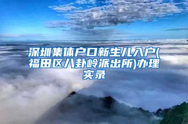 深圳集体户口新生儿入户(福田区八卦岭派出所)办理实录