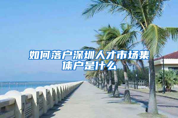 如何落户深圳人才市场集体户是什么