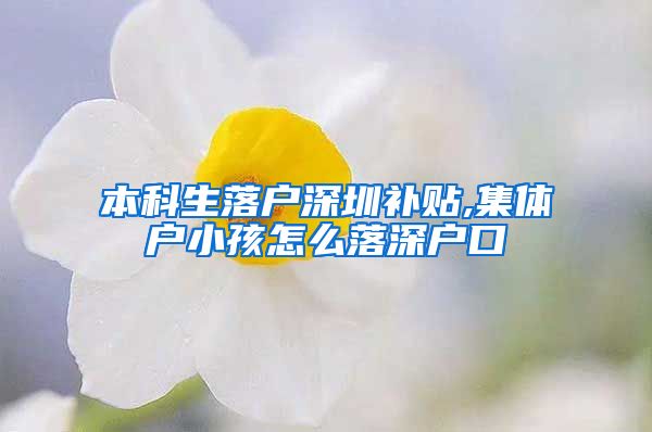 本科生落户深圳补贴,集体户小孩怎么落深户口