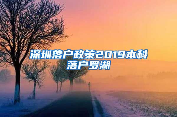 深圳落户政策2019本科落户罗湖