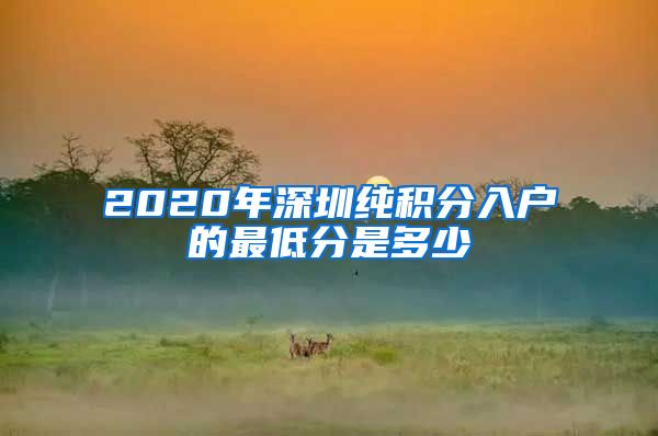 2020年深圳纯积分入户的最低分是多少