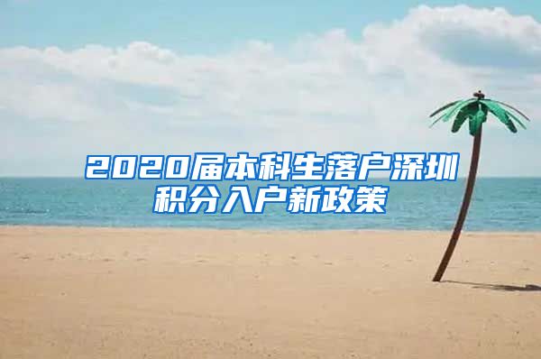 2020届本科生落户深圳积分入户新政策