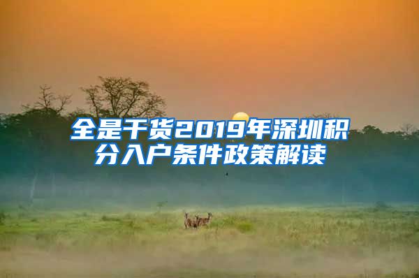 全是干货2019年深圳积分入户条件政策解读