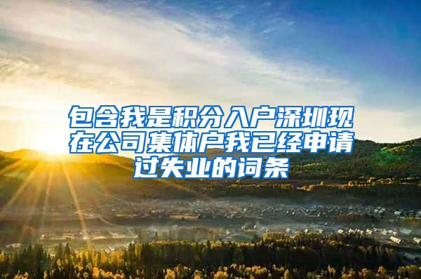 包含我是积分入户深圳现在公司集体户我已经申请过失业的词条