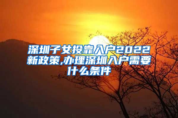 深圳子女投靠入户2022新政策,办理深圳入户需要什么条件