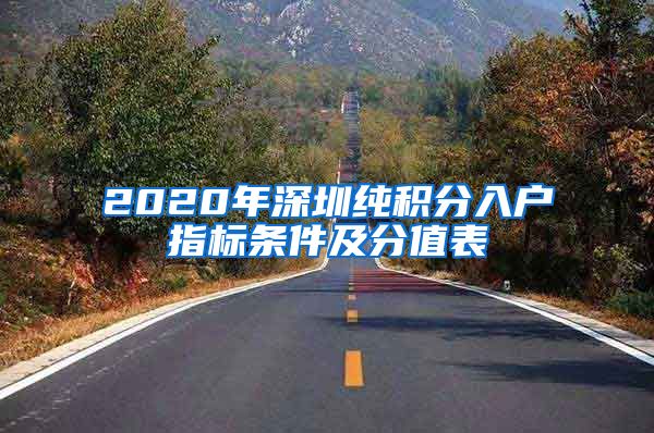 2020年深圳纯积分入户指标条件及分值表