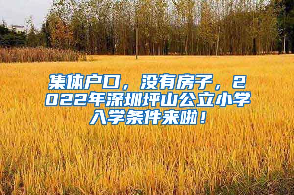 集体户口，没有房子，2022年深圳坪山公立小学入学条件来啦！