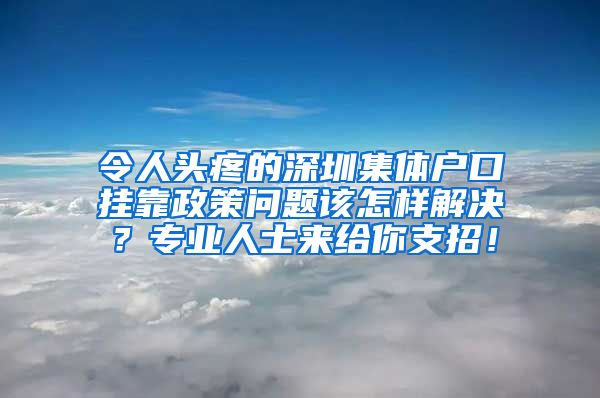 令人头疼的深圳集体户口挂靠政策问题该怎样解决？专业人士来给你支招！