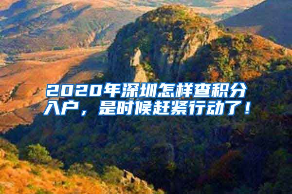 2020年深圳怎样查积分入户，是时候赶紧行动了！