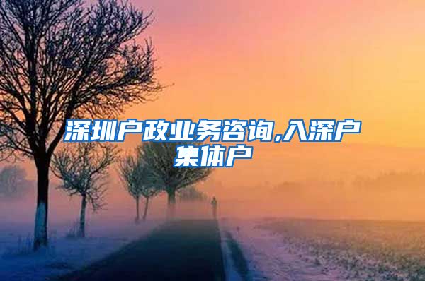 深圳户政业务咨询,入深户集体户