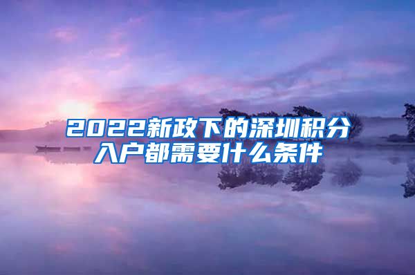 2022新政下的深圳积分入户都需要什么条件