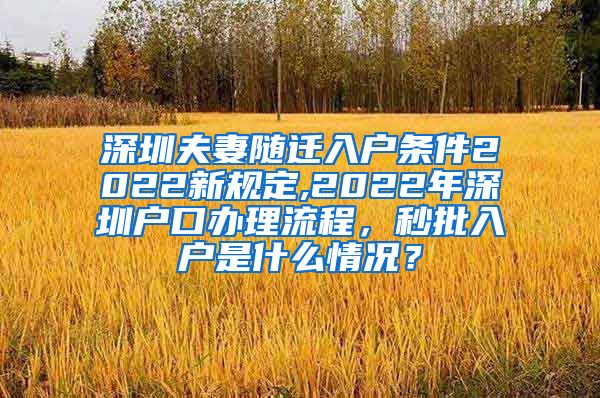 深圳夫妻随迁入户条件2022新规定,2022年深圳户口办理流程，秒批入户是什么情况？