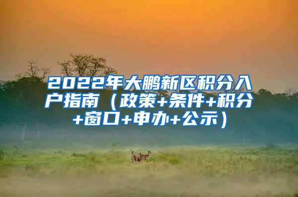 2022年大鹏新区积分入户指南（政策+条件+积分+窗口+申办+公示）