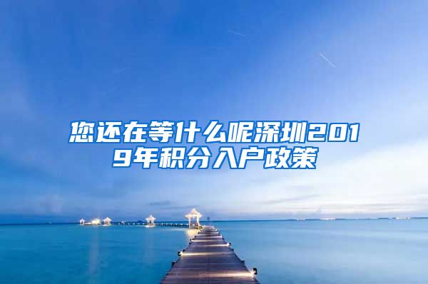 您还在等什么呢深圳2019年积分入户政策