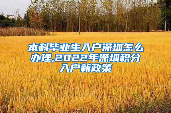 本科毕业生入户深圳怎么办理,2022年深圳积分入户新政策