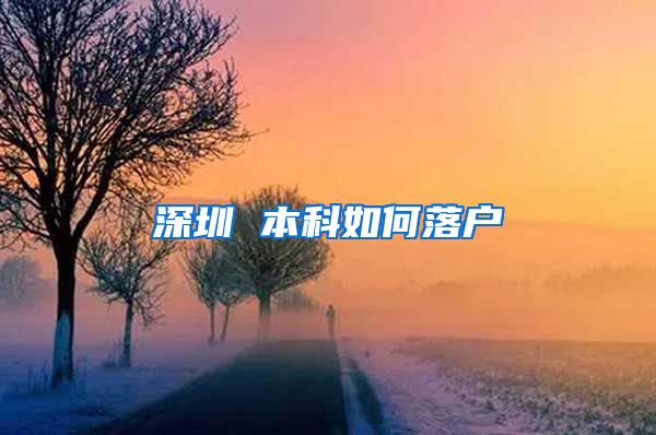 深圳 本科如何落户