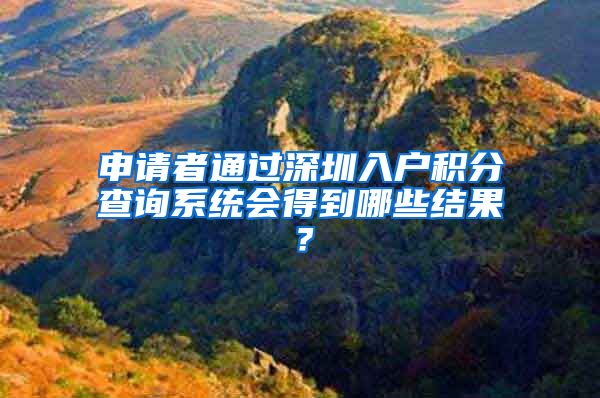 申请者通过深圳入户积分查询系统会得到哪些结果？