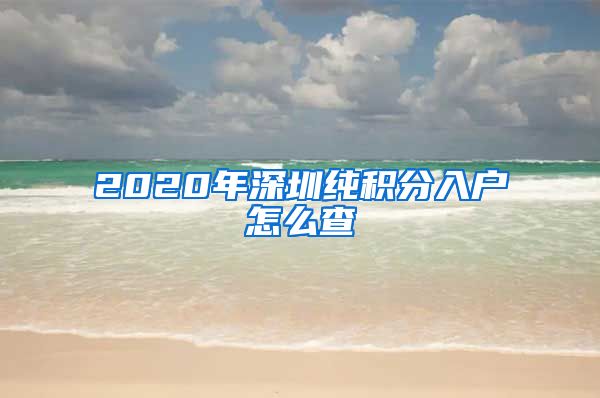 2020年深圳纯积分入户怎么查