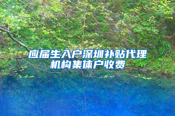 应届生入户深圳补贴代理机构集体户收费