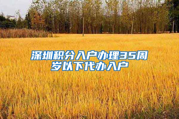 深圳积分入户办理35周岁以下代办入户