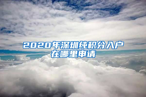 2020年深圳纯积分入户在哪里申请