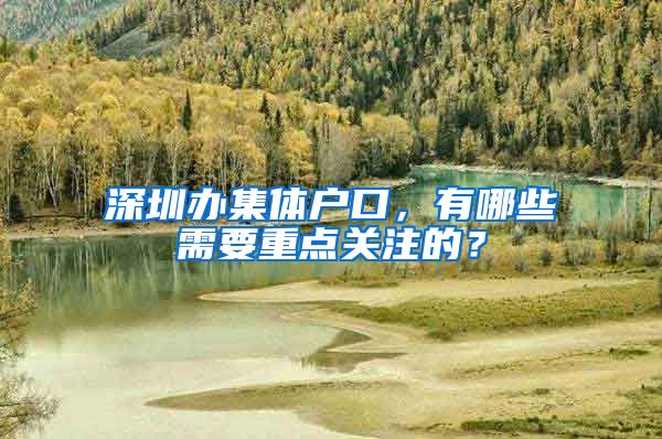 深圳办集体户口，有哪些需要重点关注的？