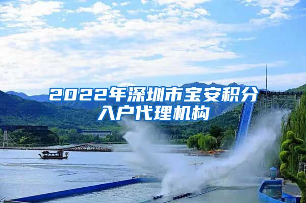 2022年深圳市宝安积分入户代理机构