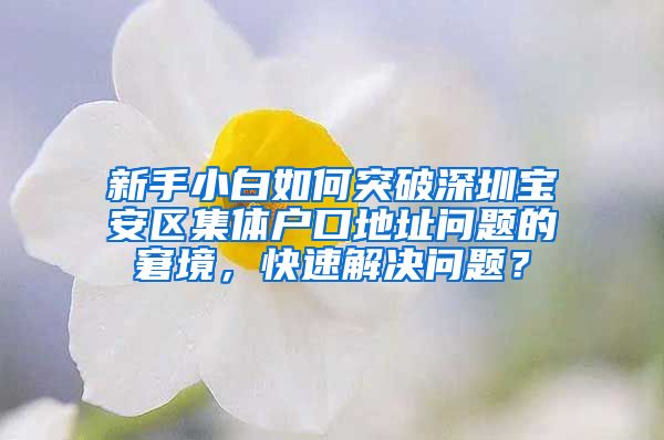 新手小白如何突破深圳宝安区集体户口地址问题的窘境，快速解决问题？