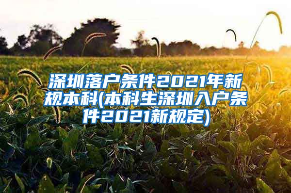 深圳落户条件2021年新规本科(本科生深圳入户条件2021新规定)