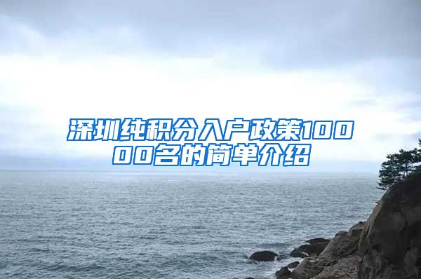 深圳纯积分入户政策10000名的简单介绍