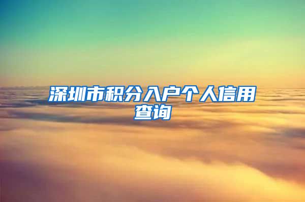 深圳市积分入户个人信用查询