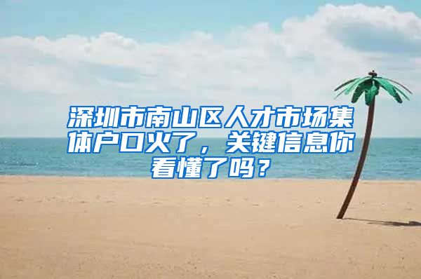 深圳市南山区人才市场集体户口火了，关键信息你看懂了吗？