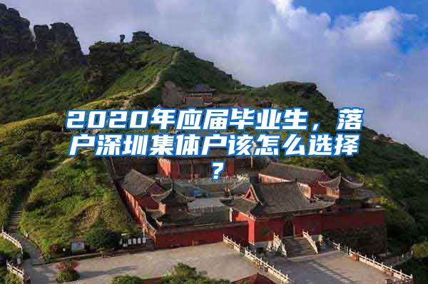 2020年应届毕业生，落户深圳集体户该怎么选择？