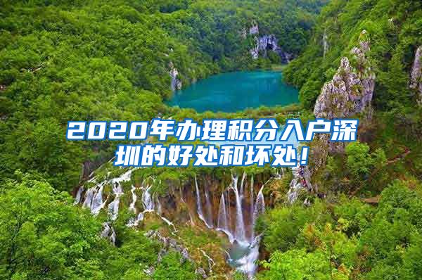 2020年办理积分入户深圳的好处和坏处！