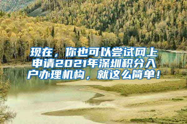 现在，你也可以尝试网上申请2021年深圳积分入户办理机构，就这么简单！